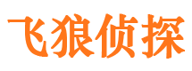 武陟市私家侦探